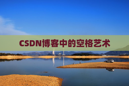 CSDN博客中的空格艺术
